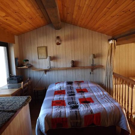 T3 Tres Agreable, 2 Terrasses, Bien Place Amélie-les-Bains-Palalda Exteriér fotografie